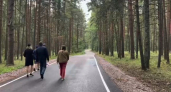 На дороге Сергиев Посад — Рыбинск — Череповец устранили часть дефектов покрытия