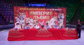 2 августа в Ярославском цирке прошла пресс-конференция, посвященная премьере шоу «Империя львиц»