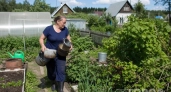 Старые кастрюли больше не хлам: делюсь 7 способами превратить кухонную утварь в стильный декор для дома