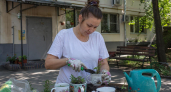 Старые кружки не выбрасываю: превращаю их в стильные кашпо для дома