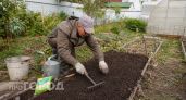 Успейте посеять горчицу до этого срока: иначе земля не станет мягкой как пух и навоз не понадобится