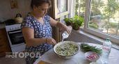 Хватит портить окрошку квасом: шеф-повар показала рецепт на воде, который стал главным хитом лета 2026 года