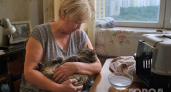 Кошка прощается с хозяином навсегда: тихие знаки, которые разрывают сердце