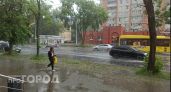 Гроза и сильный ветер обрушатся на Ярославскую область