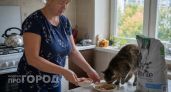 Ваша кошка воротит нос от миски: эксперт назвал одну привычку владельцев, которая портит аппетит питомцу