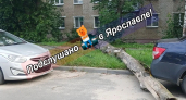 Сухое дерево упало на машину и оборвало провода на улице Слепнёва
