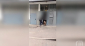 В Ярославской области задержали организатора канала незаконной миграции через фиктивные визы