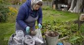 Храню свеклу в обычных пакетах до самой весны: делюсь простым способом сохранить урожай без лишних затрат