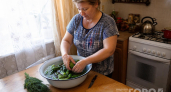 Новогодний салат готовлю со свежими дачными огурцами: бабушкина хитрость сохранить урожай без консервации