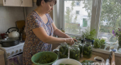 Огурцы по‑сербски: пикантная заготовка, которая превращает обычный ужин в застолье - деликатес на скорую руку