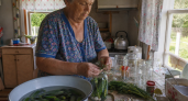 Огурцы по-татарски: мой коронный рецепт, за которым очередь из соседей каждый год