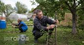 Я совершил ошибку с обрезкой яблони: срезал все волчки и остался без яблок на два года вперед