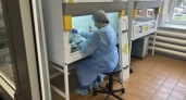 Ярославская область вошла в лидеры по лечению гепатита С с эффективностью выше 96%