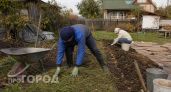 Превращаю заброшенный пустырь в плодородный рай: три простых шага для быстрой подготовки целинной земли