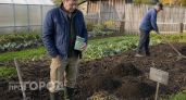 Хватит портить почву на даче: почему осенняя посадка сидератов стала моей главной агротехнической ошибкой