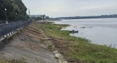 В Рыбинске расчистили берег Волги от моста до Полета