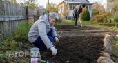 Успейте посеять эти 5 цветов до холодов: весной они взойдут сами и избавят вас от возни с рассадой