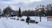 Метеорологи раскрыли прогноз на суровую зиму 2026: что нужно делать дачникам уже сейчас