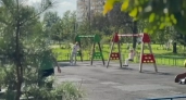 В Рабочем саду Ярославля полностью заменили детскую площадку по просьбам жителей