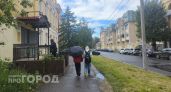 Грозы и сильный ветер накроют Ярославскую область 