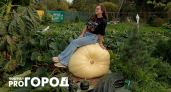 Огородница из Рыбинска раньше ненавидела грядки, а теперь ее 328-килограммовую тыкву выносят грузчики  