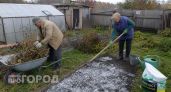 Больше не трачу время на десять подходов к грядкам: всего три простых шага осенью и почва готова к сезону