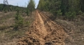 В лесах Ярославской области проложили 644 километра защитных полос от пожаров
