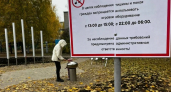 Шумную поющую грибницу и глюкофон уберут из ярославского двора за Волгой