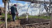 После Новолетия будет поздно: топ дел на участке, которые нужно успеть до 14 сентября — иначе потеряете урожай