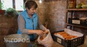 Морковь в пакете гниет из за двух простых ошибок: вот как правильно подготовить урожай для хранения до весны