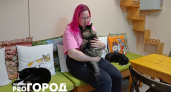 Хозяйка ярославского котокафе: «Кошка Лиза выкормила чужих котят, а Слепуню привезли после удаления глаз»