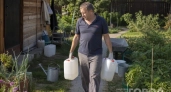 Пластиковые канистры превратил в дачные «стеклоблоки»: как собирать светлую теплицу из бросового материала