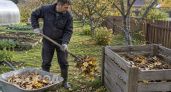 Хватит сжигать опавшую листву: делюсь простым способом превратить мусор в элитный перегной уже к весне
