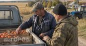 Кубанский характер изнутри: пять привычек местных жителей, которые сначала бесят, а потом влюбляют в себя