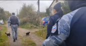 В Ярославле приставы заставили сына пустить тяжелобольного отца в родной дом