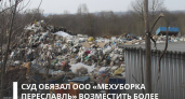 В Ярославской области оператора обязали выплатить 3,6 млн за свалку у нацпарка