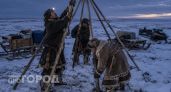 Ночевала в тундре при метели: как оленеводы ставят чум за считанные минуты когда замерзает даже техника
