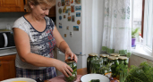 Огурцы по-сибирски: раскрываю рецепт холодной засолки без уксуса для звонкого хруста