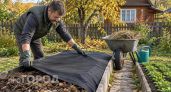 Забудьте про тяжелую лопату: два простых действия превратят глинистый грунт в мягкую и рыхлую землю
