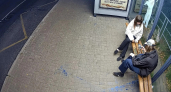 Полиция Ярославля разыскивает девушек за порчу остановки во Фрунзенском районе