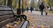 Лавки в центре Ярославля украсили медведями ниндзя с масками и именами