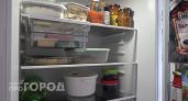 Хранить продукты в холодильнике больше не модно: сейчас умные люди выбирают более естественные способы сохранения свежести