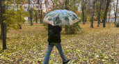 Золотой осени не будет: 3 причины резкого похолодания и первого снега в октябре
