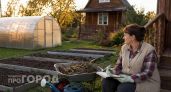 Вычеркиваю из списка навсегда: 10 садовых культур, которые только отнимают время и силы без всякой отдачи