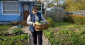 Не грядка, а аэродром для кабачков: плоды растут один за другим — вот какой сорта раздаю соседям и всё равно остаются