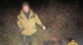 В Ростовском районе охотник вместо птицы застрелил лося и попал под уголовное дело