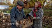 Смотрим на свои грядки и смеемся: подборка дачных приколов, которые знакомы каждому владельцу участка