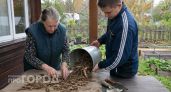 Раньше тратила силы на прополку дачи зря: теперь превращаю обычные сорняки в стабильный доход для всей семьи