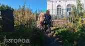Скандал в морге, поиски пропавших и старт отопительного сезона: главные новости за 3 октября