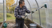 Больше никакой фитофторы: пять простых действий в теплице осенью для идеального урожая в новом сезоне